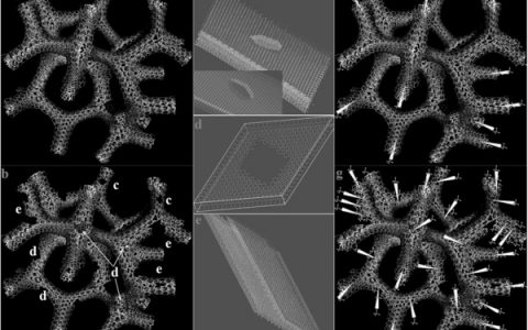 Adv. Mater. 湖南大学：石墨烯纳米带与高多孔3D石墨烯用于高容量、超稳定Al离子电池