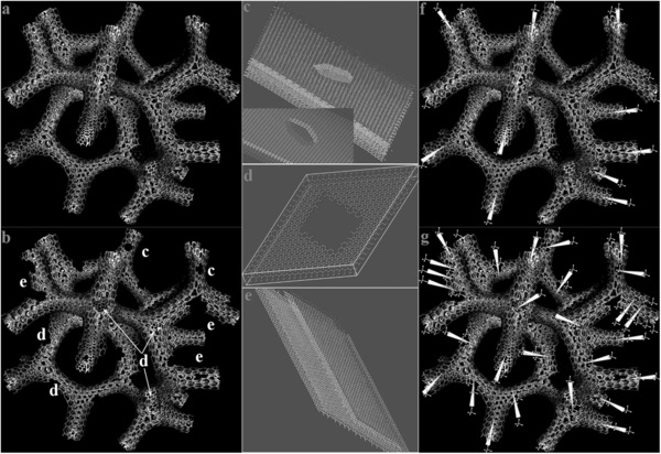 adma201604118-fig-0001