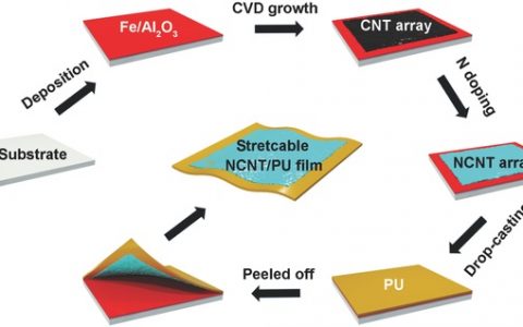 Adv. Energy Mater. ：复旦彭慧胜-用于高度拉伸超级电容器的芯鞘层氮掺杂碳纳米管阵列