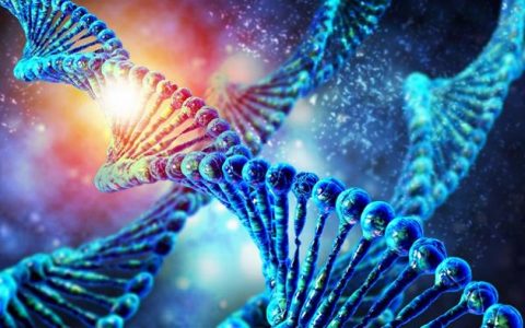 说出来你可能不信——是电场先动的手!