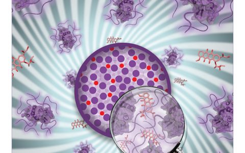 材料人报告｜这里是你想了解的JACS发文报告