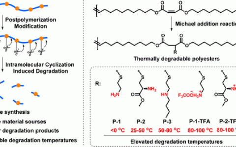 Macromolecules：通过后聚合改性以及分子内的环化作用形成的具有可调降解温度的热可降解聚酯