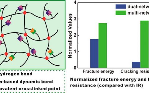 Macromolecules：高性能弹性体