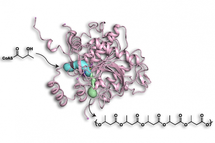 plasticimage2ee