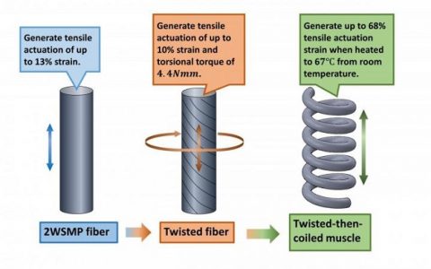 聚合物纤维开启人造肌肉新篇章