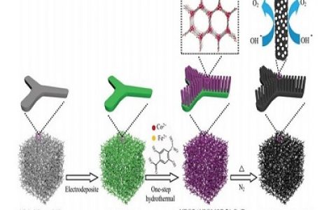 Adv. Mater.中山大学 多孔CoFe2O4/C复合纳米棒阵列用于高效的电化学析氧