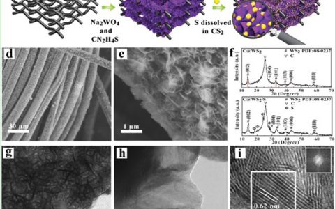 Adv. Energy Mater.：多功能层状WS2纳米片提高锂硫电池的性能