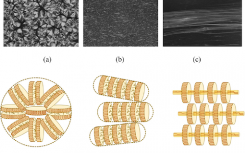 学术干货｜聚烯烃串晶结构的形成机理及研究热点