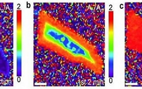 化学,石墨烯因你更美好!