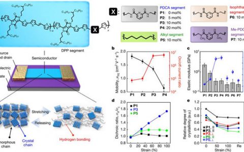 鲍哲南Nature：用于有机晶体管的本征可拉伸和可愈合半导体聚合物