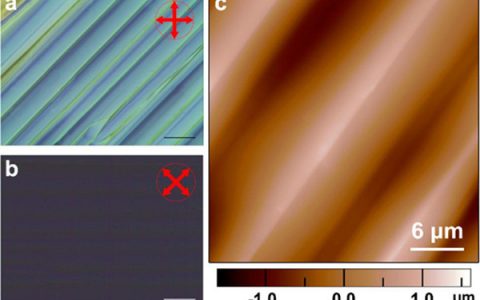 JACS：双轴向分子铁电薄膜中极化方向超快转向