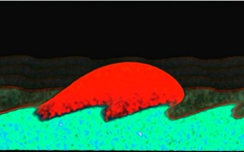 Angew. Chem. Int. Edit.:完全润湿液体在仿生表面的单向运输