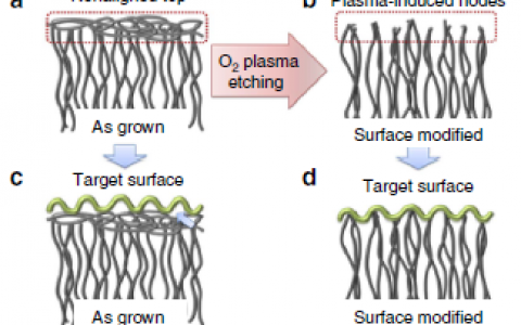 Nature子刊：大温差热增强型碳纳米管干性粘合剂