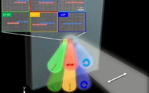 Nano Lett.：借以铝等离子超材料表面构建多功能型偏振发生器