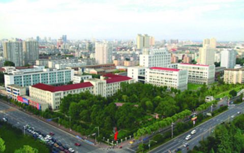 材料人报告丨中科院金属所近十年SCI发文数据解读