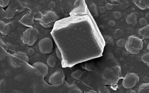 厉害了——水泥颗粒形态居然可以按图设计