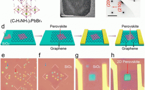 JACS:面向高性能光电探测器的二维钙钛矿晶体