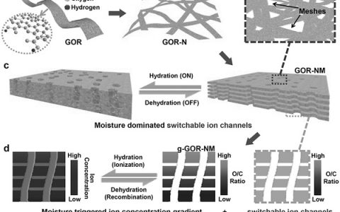 Adv. Mater.氧化石墨烯纳米带用作信息存储