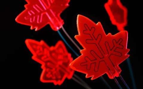 随身携带的工厂——有光就有化学品!