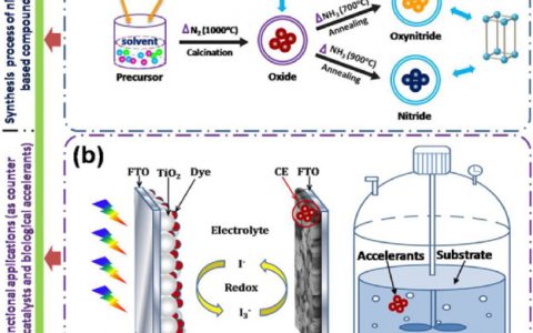 西建大云斯宁：氮氧化铌在第三代太阳能电池和厌氧发酵系统中的应用
