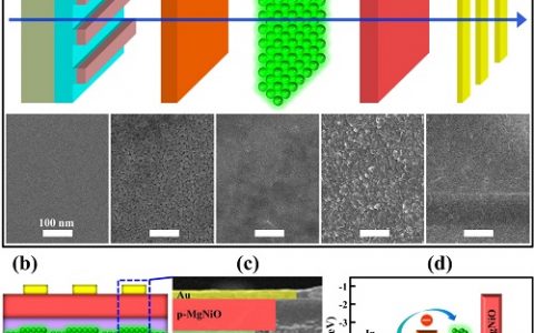Nano Lett.: 高效率和空气稳定的具有全无机异质结构的钙钛矿量子点二极管