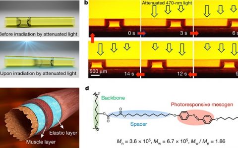 盘点:2016年中国学者在Nature上发表的重大科技成果!