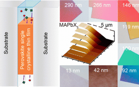 化学所JACS 空间限域法原位生长厚度可调的有机无机杂化钙钛矿单晶薄膜