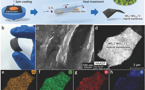 Adv. Mater. 无贵金属的复合膜用于高效析氢反应