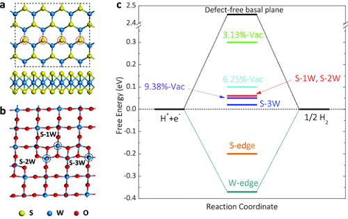 adma201603617-fig-0004