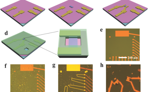 Adv.Mater.:场效应增强MoS2纳米片的析氢反应催化活性