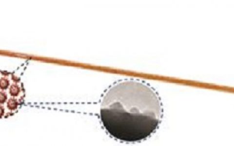 滚蛋吧水污染！纳米粒子可分解有机染料啦！