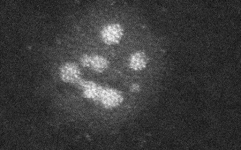 “纳米雪人”铂展现出新的高效催化