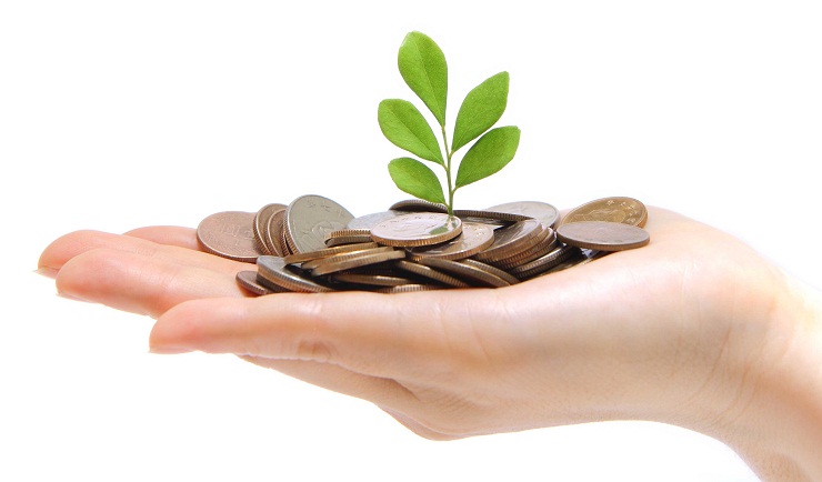graphic-hand-holding-money-plant-cropped