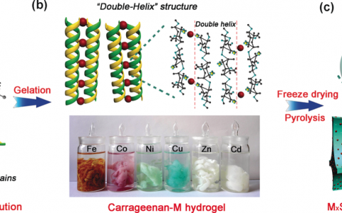 Angew. Chem. Int. Ed.: 卡拉胶-金属水凝胶的双螺旋结构：多孔金属硫化物/碳气凝胶三维材料用于钠离子存储
