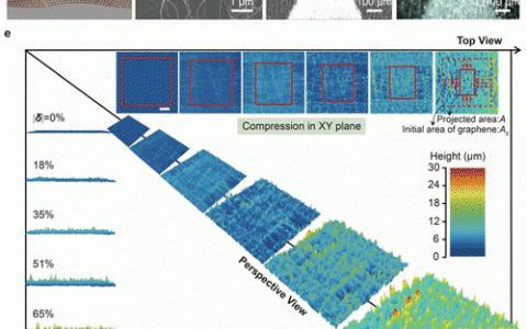 Nano Lett.:高度褶皱的全碳晶体管在神经信号检测中的应用