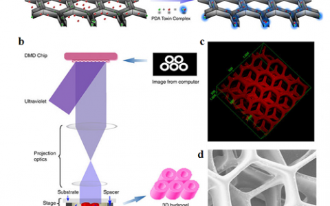 学术干货 | 3D打印微纳功能器件典型案例共赏