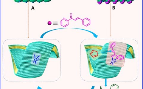 JACS:高效超分子催化剂 单壁金属螺旋纳米管(M-HN)
