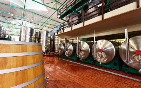 新工艺：用天然材料制造水凝胶