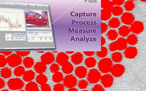 学术干货丨教你用Image Pro Plus统计分析粒径