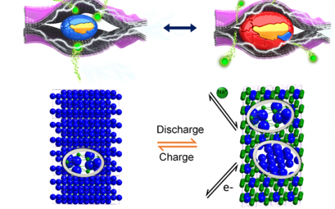JACS:钠离子电池负极材料可逆晶态相变研究重要进展