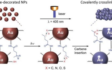 Adv. Mater.: 金纳米颗粒的光触发组装用于光热治疗和光声成像