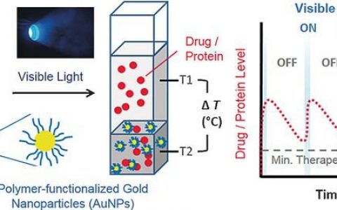 Angew. Chem. Int. Ed.：水凝胶中药用蛋白的光控释放