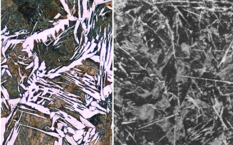 学术干货∣带你遍赏钢铁家族中各种组织(形貌、生长特点及性能)