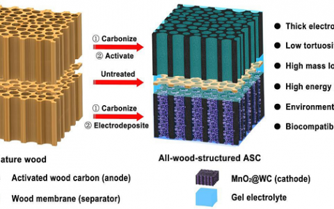Energy Environ. Sci.：全木制超级电容器