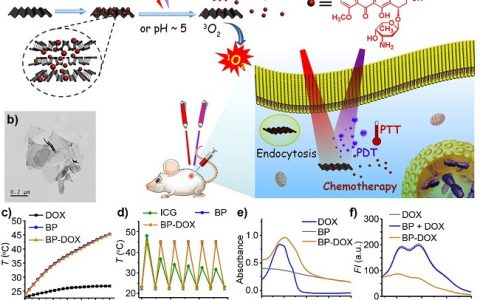 Adv Mater. 黑磷纳米药物运输体系：多模式联合治疗癌症