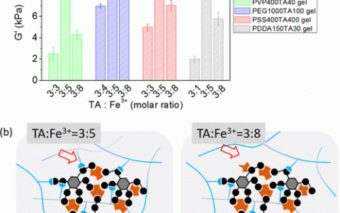 Macromolecules :基于单宁酸的超分子水凝胶的形成