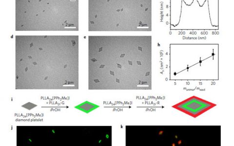 Nature子刊：末端带电荷的可结晶均聚物的二维自组装