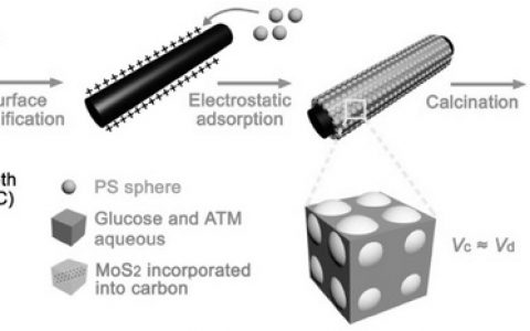 华东理工大学Adv. Mater.:用于柔性锂离子电池的3D有序大孔MoS2 @ C纳米结构