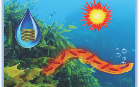 Adv. Mater.: 海藻酸盐助力过渡金属硫化物的高效剥离和仿生智能驱动器件的构筑