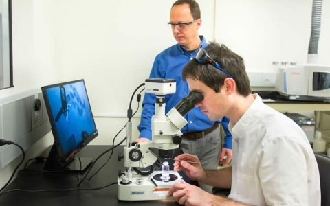 空气捕碳？厉害了我的胍